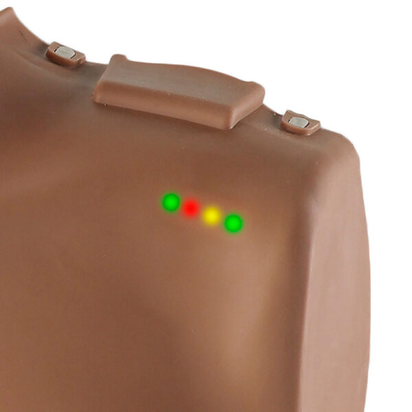 PRESTAN Collection Manikins with CPR Monitor - Image 5