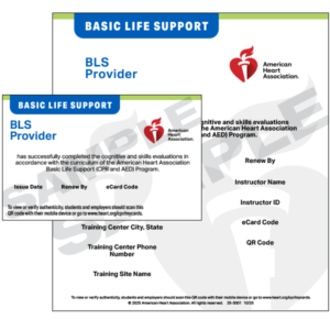 BLS Provider